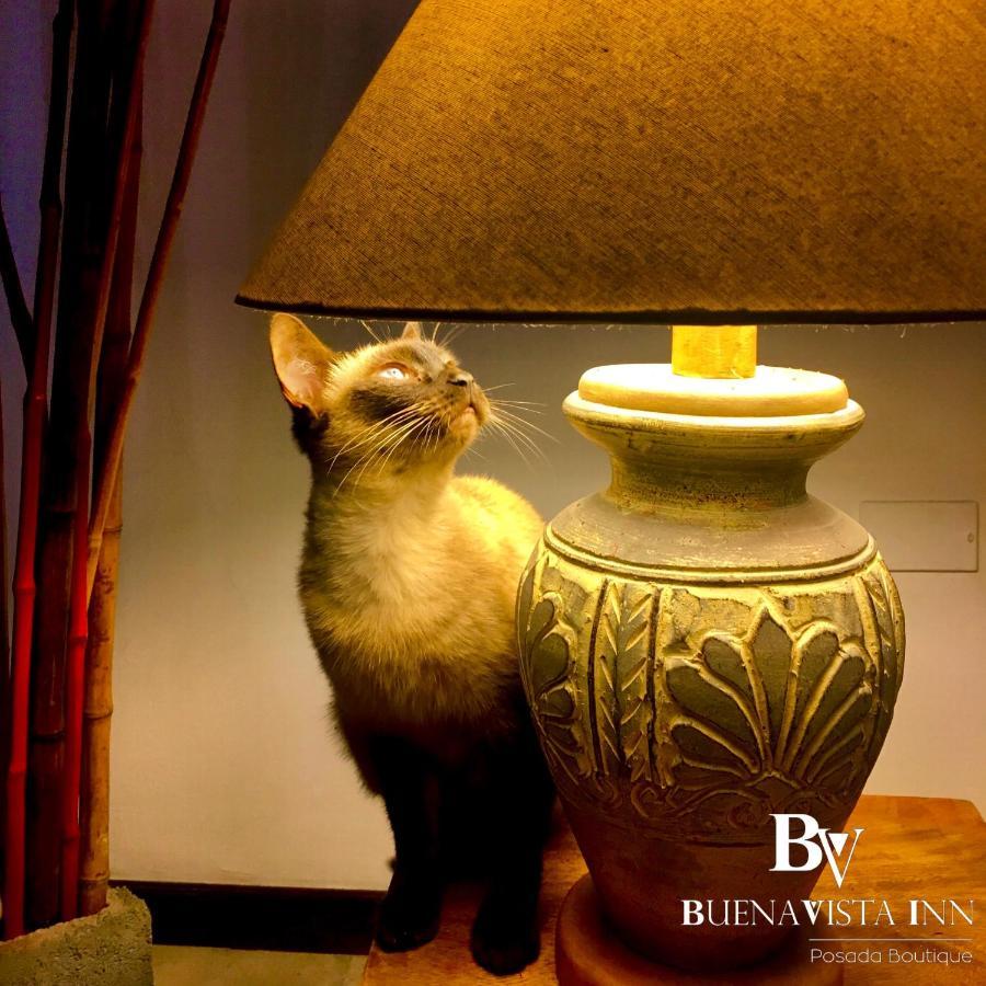 Buenavista Inn 迈克蒂亚 外观 照片